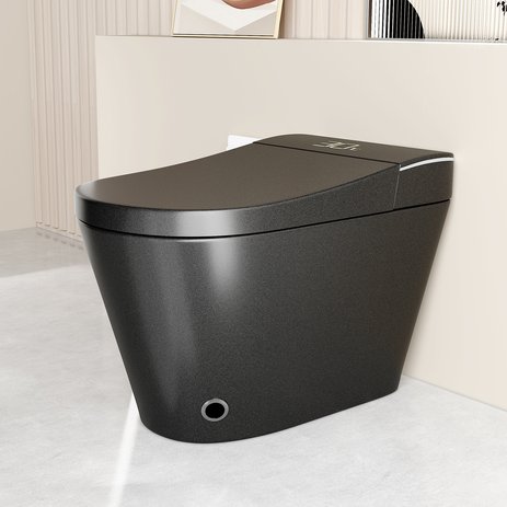 English Elm Unique Intelligent One-piece Toilet with Integrated Bidet Heated Seat and Auto Lid Black W3133P414563