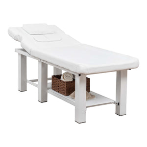 English Elm Spa Salon Massage Table Steel Frame Pu Leather Adjustable Backrest Bottom Shelf Storage W1422P382936