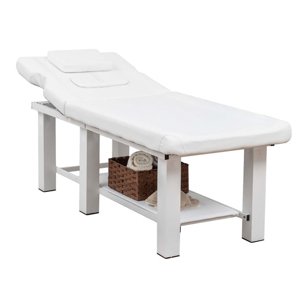 English Elm Spa Salon Massage Table Steel Frame Pu Leather Adjustable Backrest Bottom Shelf Storage W1422P382936