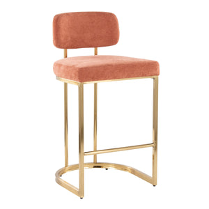 English Elm Fixed-height Barstools Powder Coated Steel Frame Brown Upholstered Seat Set of Two Salmon B202P471213