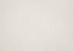 English Elm 1Pc Stylish Beige Accent Chair With Foam Cushion, Nailhead Trim - Perfect For Living Rooms & More! B011P287703