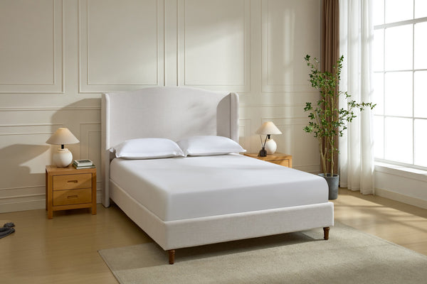 English Elm Hannah Tall 54" Upholstered Wingback Queen Bed with Textured Ivory Chenille, Walnut Feet, No Box Spring Needed B083P227902