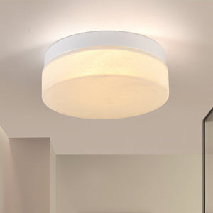 English Elm 12 Inch Led Ceiling Light - 24W Flush Mount Fixture For Modern Bedroom, Living Room & Dining Areas W2312P375014