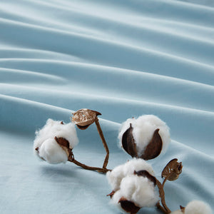 JLA Home 510 Design - 100% Cotton breathable sheet set — OEKO-TEX certified, ultra-soft durable weave for year-round comfort Light Blue AM20-0353