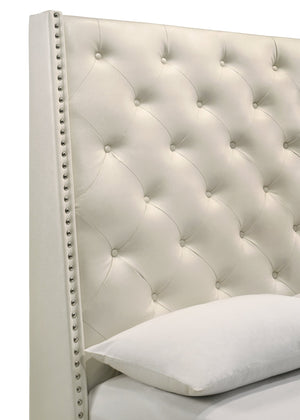 English Elm 1Pc Pearl White Queen Panel Bed - Elegant Upholstered Design With Button Tufting & Nailhead Trim B011S01446
