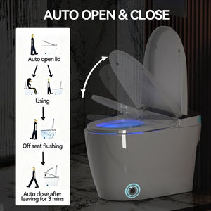 English Elm Smart Toilet with Auto Open Seat Heated Bidet Warm Dryer and Night Light W3133P384796