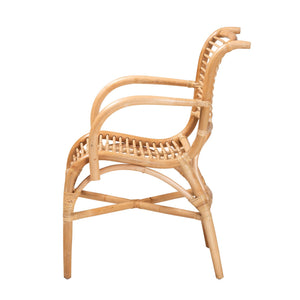 English Elm Modern Woven Rattan Accent Chair Openwork Lattice Frame for Sunroom or Bedroom B2750P420383