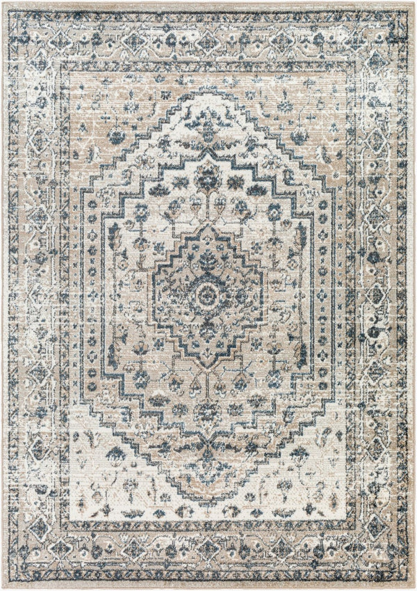 Livabliss Davaro Traditional Polypropylene Area Rug Turkish Woven for Living and Dining Rooms DAV2320-9212