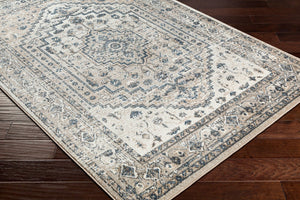 Livabliss Davaro Traditional Polypropylene Area Rug Turkish Woven for Living and Dining Rooms DAV2320-9212