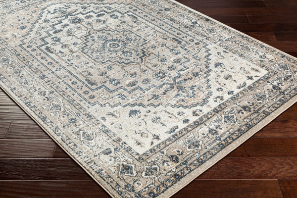 Livabliss Davaro Traditional Polypropylene Area Rug Turkish Woven for Living and Dining Rooms DAV2320-9212