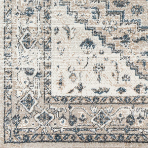 Livabliss Davaro Traditional Polypropylene Area Rug Turkish Woven for Living and Dining Rooms DAV2320-9212