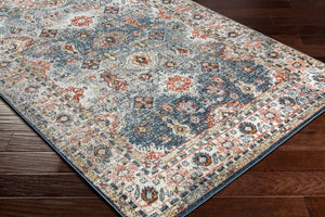 Livabliss Davaro Traditional Polypropylene Area Rug Machine Woven in Turkey for Living Rooms DAV2323-71010
