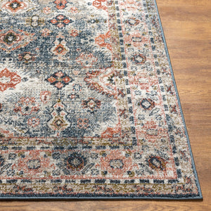 Livabliss Davaro Traditional Polypropylene Area Rug Machine Woven in Turkey for Living Rooms DAV2323-71010