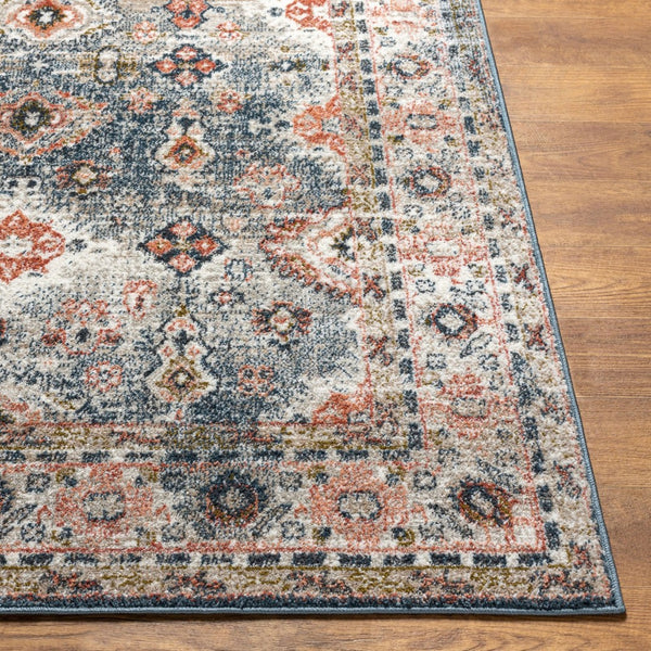 Livabliss Davaro Traditional Polypropylene Area Rug Machine Woven in Turkey for Living Rooms DAV2323-71010