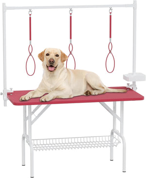 English Elm 47'' Foldable Dog Grooming Table X-lift Adjustable Height Station with Arm Noose Organizer Pink W3587P358729