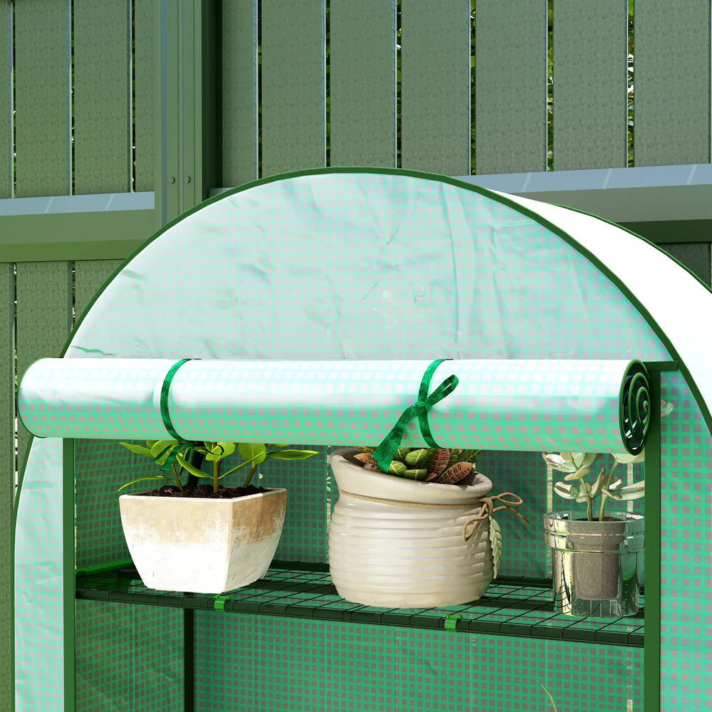 English Elm Lean-to Outdoor Greenhouse with Uv Polyethylene Cover and Four Tiered Wire Shelves T3971P414600