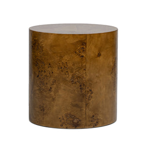 English Elm Jennifer Taylor Home - Nebula 20" Oval Accent Side Table - Medium Brown Walnut Burl Wood For Elegant Living Spaces B2719P292913