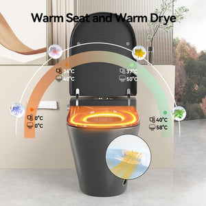 English Elm Unique Intelligent One-piece Toilet with Integrated Bidet Heated Seat and Auto Lid Grey W3133P414566