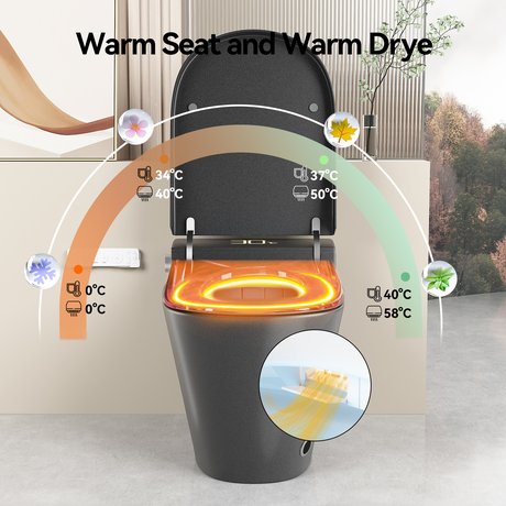 English Elm Unique Intelligent One-piece Toilet with Integrated Bidet Heated Seat and Auto Lid Grey W3133P414566