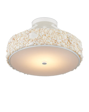 Currey & Company Turbinella Semi-flush Mount Light Fixture - Coastal Seashell Design With Led Diffuser For Ambient Glow Ivory Shells ,Wrought Iron ,Acrylic 9000-1324-currey-company