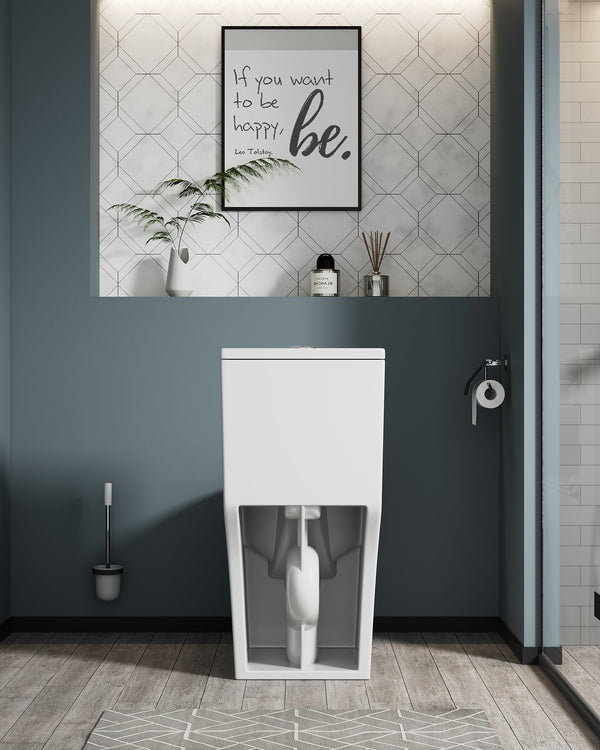 English Elm 1.1/1.6 Gpf Elongated Ceramic One-piece Toilet Skirted Base Comfort Height Soft Close B2724P246930
