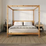 English Elm Walker Edison - Modern Minimalist Boho King Canopy Bedframe – Natural Pine