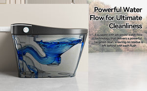 English Elm Unique Intelligent One-piece Toilet with Integrated Bidet Heated Seat and Auto Lid Black W3133P414563