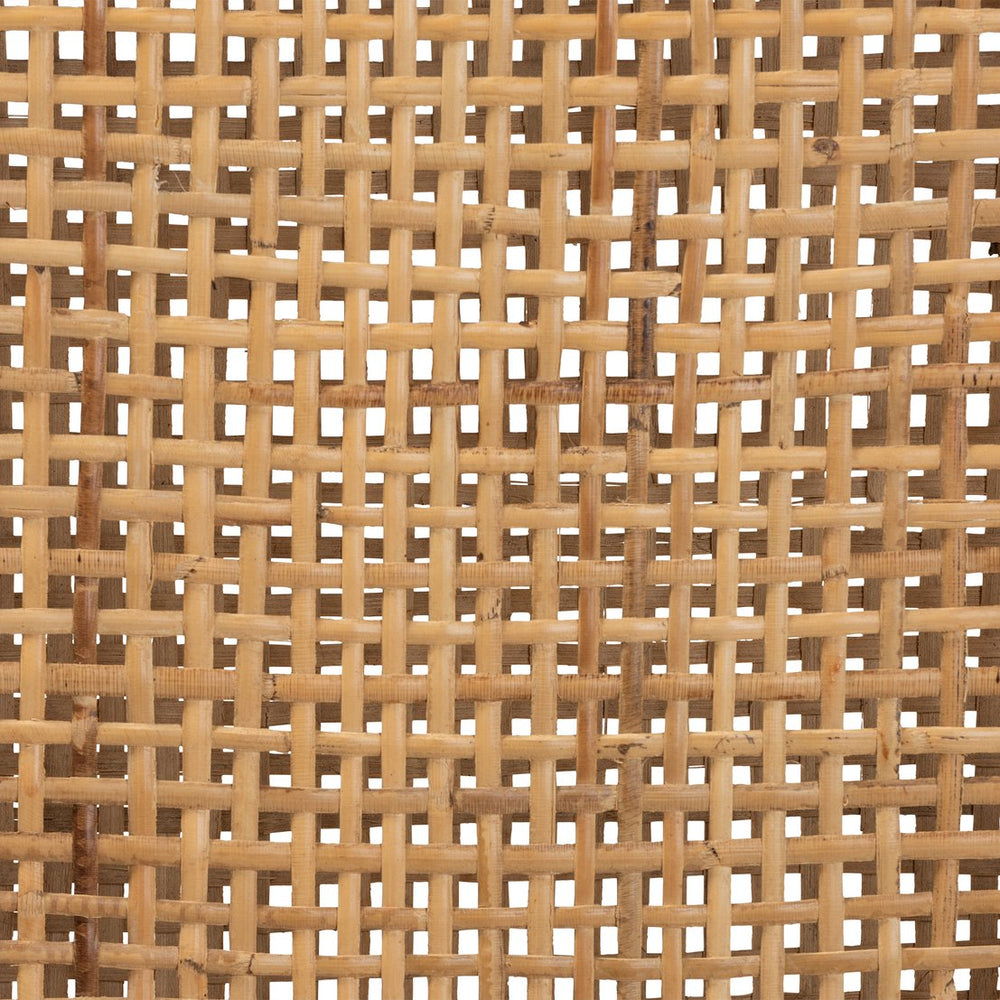 English Elm Modern Rattan Dining Chair Set of Two with Woven Back and Black Iron Base B2750P420351