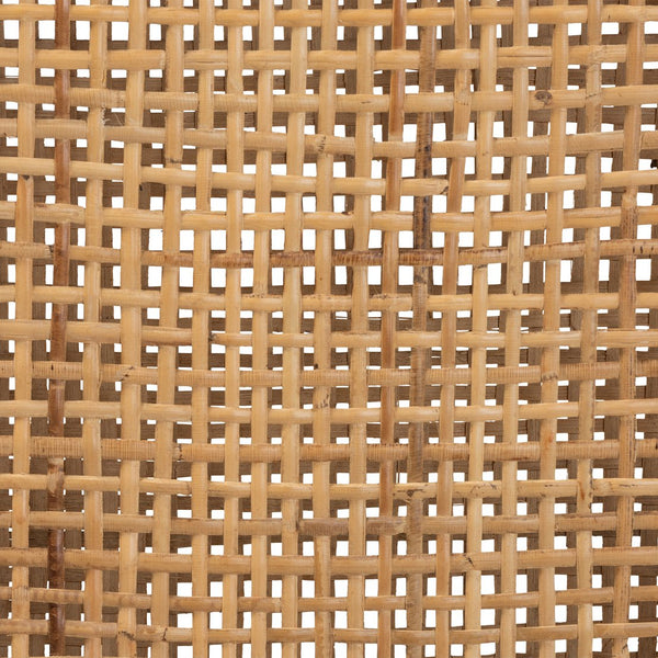 English Elm Modern Rattan Dining Chair Set of Two with Woven Back and Black Iron Base B2750P420351