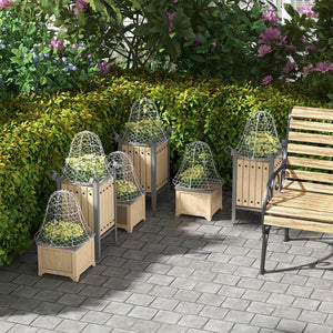 English Elm Outsunny Garden Chicken Wire Cloches - 6 Pack Metal Plant Protectors For Seedlings & Herbs W2225P200895-GIGA