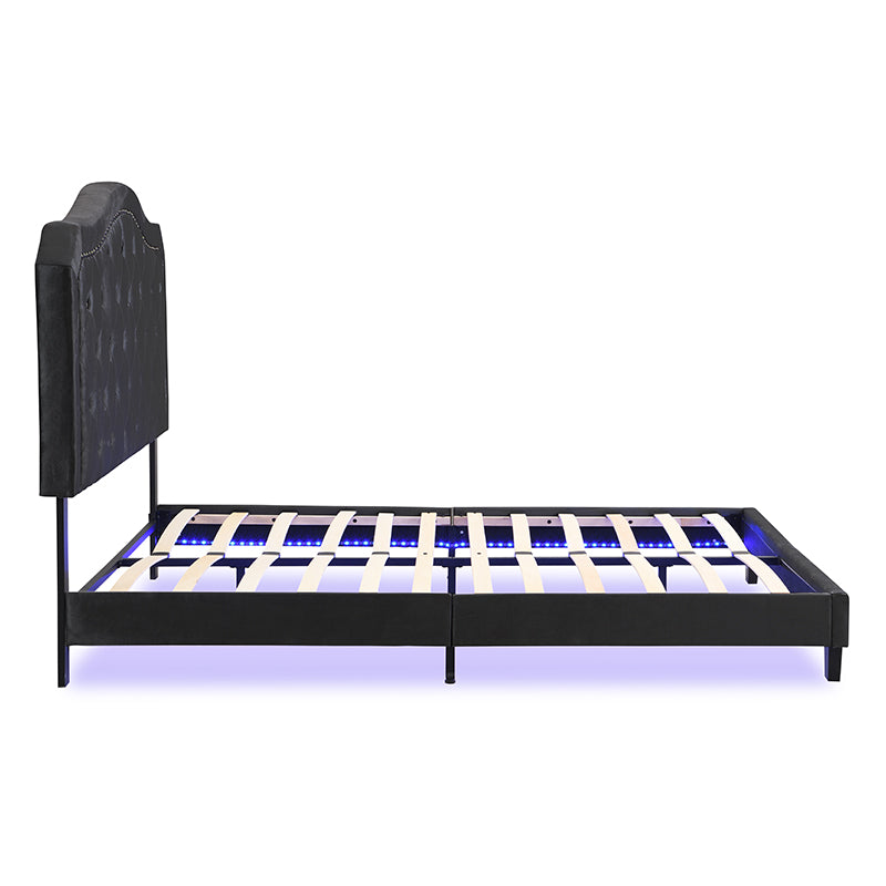 English Elm Upholstered Diamond Button Tufted Platform Bed with Velvet, LED Ambient Lighting, Sturdy Slats Black 65.75 L x 34.43 W x 4.72 H W2297P268385