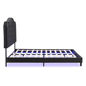 English Elm Upholstered Diamond Button Tufted Platform Bed with Velvet, LED Ambient Lighting, Sturdy Slats Black 65.75 L x 34.43 W x 4.72 H W2297P268385
