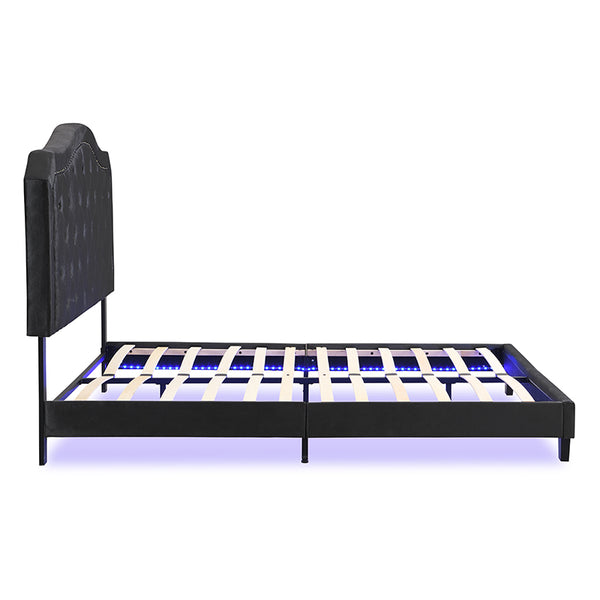 English Elm Upholstered Diamond Button Tufted Platform Bed with Velvet, LED Ambient Lighting, Sturdy Slats Black 65.75 L x 34.43 W x 4.72 H W2297P268385