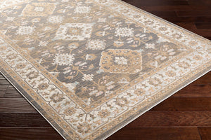 Livabliss Dryden Traditional Machine Woven Polypropylene Accent Rug for Entryway or Bedside DDN2311-23