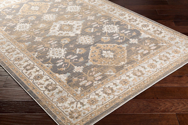 Livabliss Dryden Traditional Machine Woven Polypropylene Accent Rug for Entryway or Bedside DDN2311-23