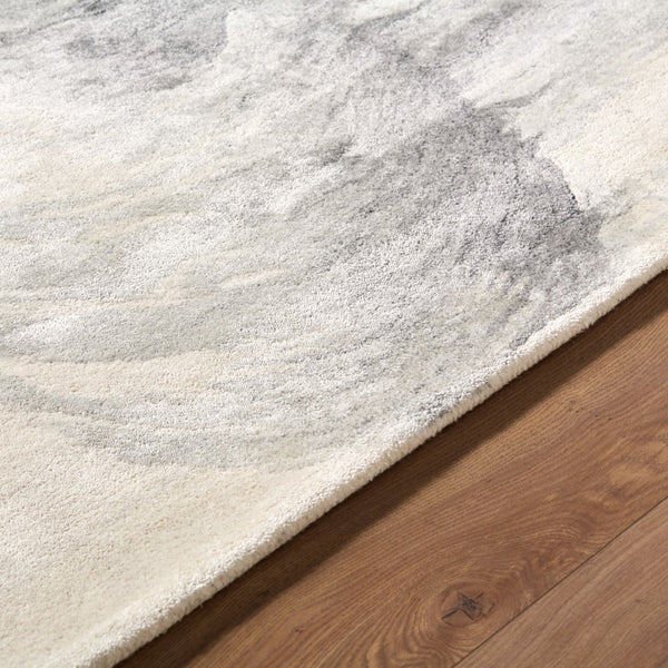 Surya Diva 10' X 14' Handmade Mid-century Modern Rug - Luxurious Rayon & Wool Blend For Timeless Elegance 'Slate Gray Rayon,Wool Ddv2300-23