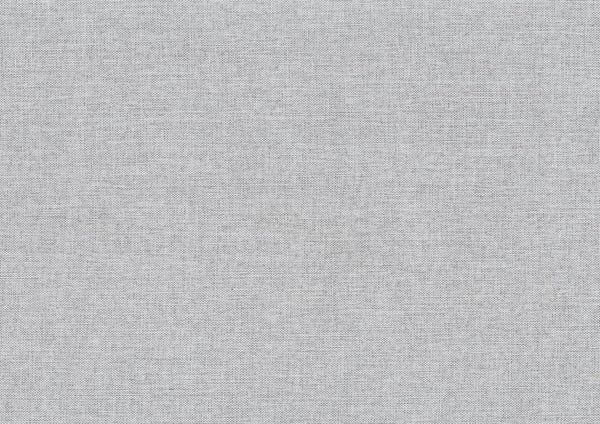 English Elm 1pc Trudy Daybed with Trundle Upholstered Fabric Modern Wooden Frame Versatile Guest Sofa Bed Gray 82.5 L x 33 W x 6.5 H B011P256690