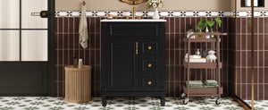 English Elm 24" French-Inspired Bathroom Vanity With Ceramic Sink, 2 Soft-Close Drawers & Adjustable Shelf N710P318989B