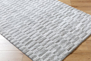 Livabliss Delight Shag Polyester Area Rug Machine Woven in Turkey for Cozy Living Spaces DEL2301-537