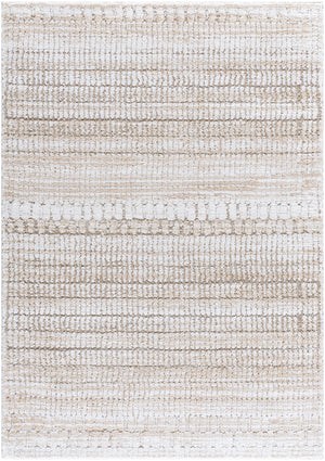 Delight Shag DEL-2302 7'10" x 10' Machine Woven Rug DEL2302-71010 Livabliss Surya