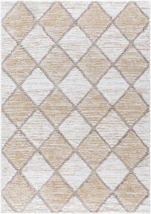 Livabliss Delight Shag Rug Turkish Made Plush Polyester Pile for Bedroom and Living Room DEL2306-537