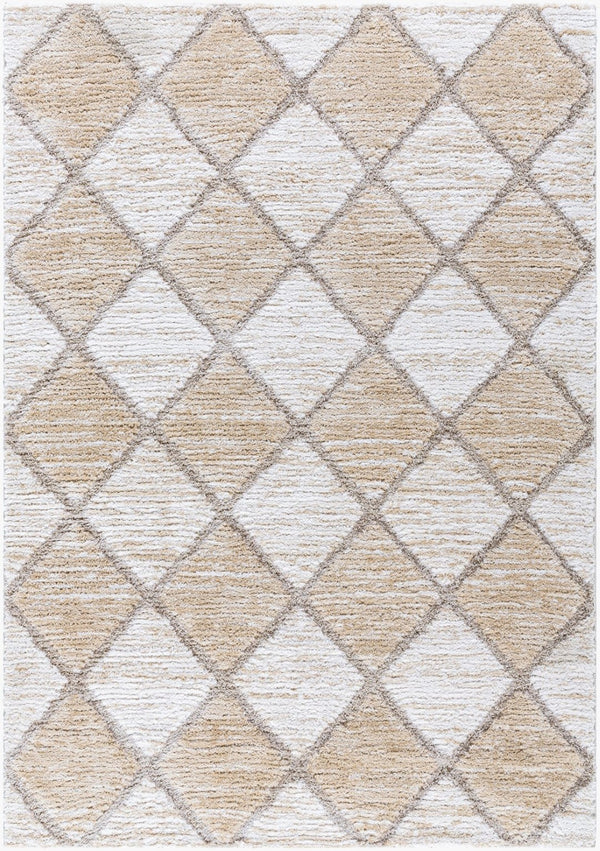 Livabliss Delight Shag Rug Turkish Made Plush Polyester Pile for Bedroom and Living Room DEL2306-537