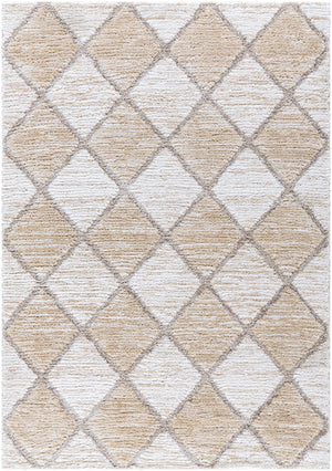 Delight Shag DEL-2306 7'10" x 10' Machine Woven Rug DEL2306-71010 Livabliss Surya