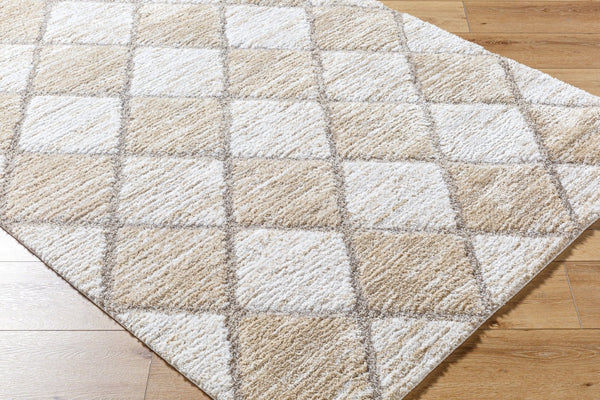 Livabliss Delight Shag Rug Turkish Made Plush Polyester Pile for Bedroom and Living Room DEL2306-537