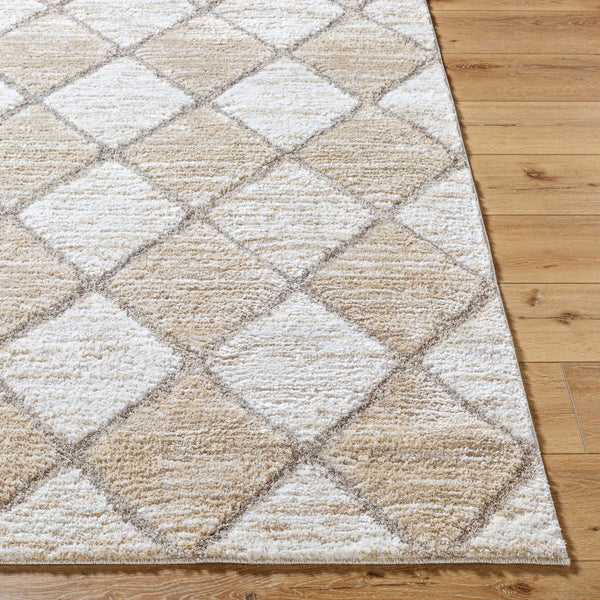 Livabliss Delight Shag Rug Turkish Made Plush Polyester Pile for Bedroom and Living Room DEL2306-537