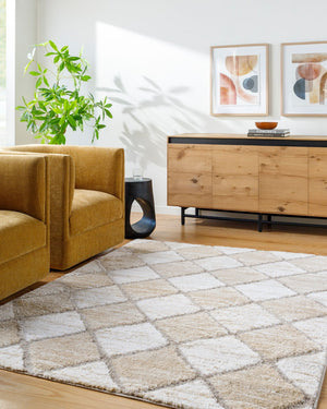 Livabliss Delight Shag Rug Turkish Made Plush Polyester Pile for Bedroom and Living Room DEL2306-537