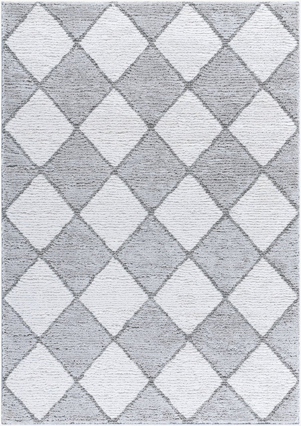Livabliss Delight Plush Shag Area Rug Machine Woven Polyester High Pile Softness for Any Room DEL2307-537