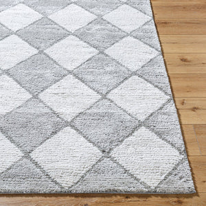 Livabliss Delight Plush Shag Area Rug Machine Woven Polyester High Pile Softness for Any Room DEL2307-537