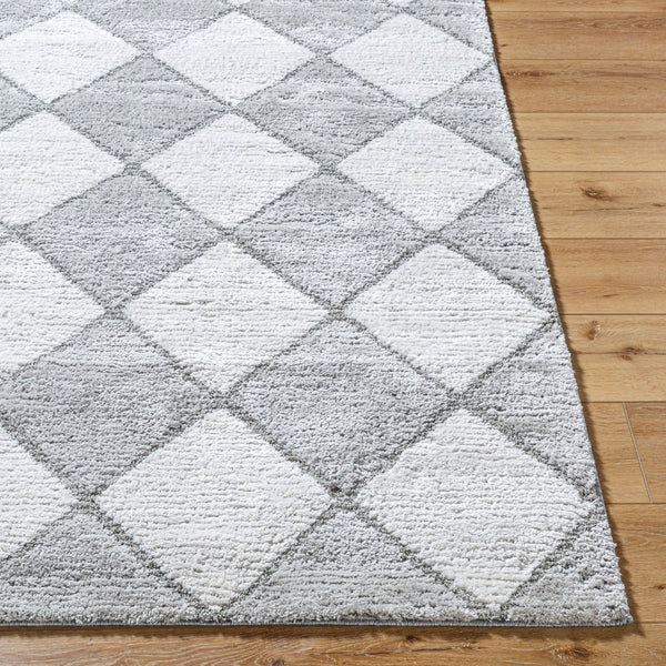 Livabliss Delight Plush Shag Area Rug Machine Woven Polyester High Pile Softness for Any Room DEL2307-537
