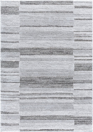 Delight Shag DEL-2308 7'10" x 10' Machine Woven Rug DEL2308-71010 Livabliss Surya